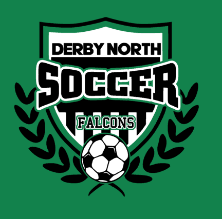 DNMS falcons soccer
