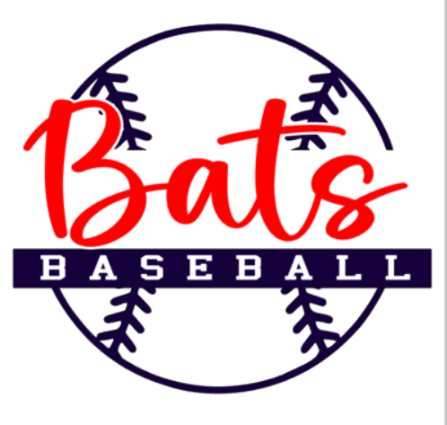 Bats Baseball