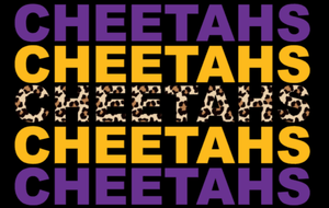 Cheetah stacked