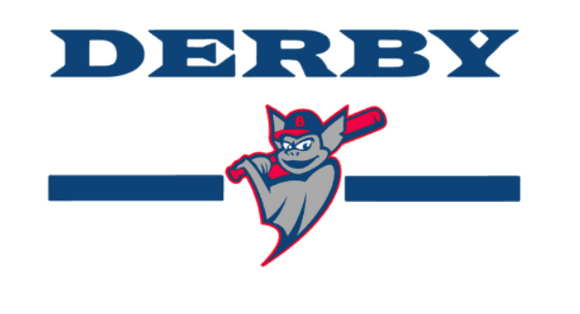 Derby Bats logo