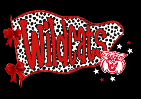 oxford wildcats banner