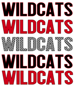 oxford wildcats layered with checker print
