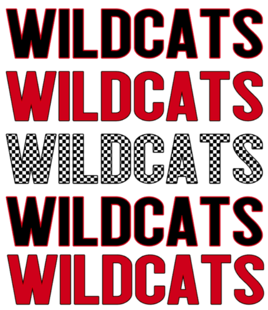 oxford wildcats layered with checker print