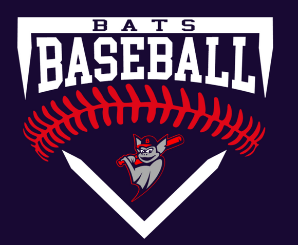 Bats Baseball Base