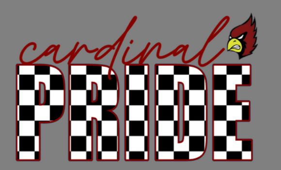 South Haven basketball- checkered print