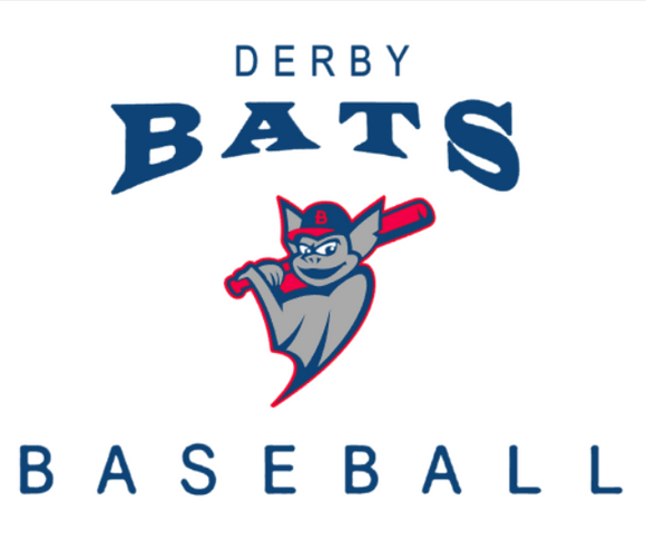 Derby Bats Baseball logo #2