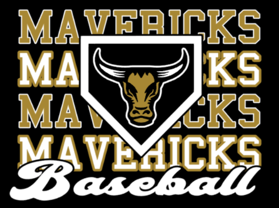 SHERPA BLANKET -Mavericks Baseball
