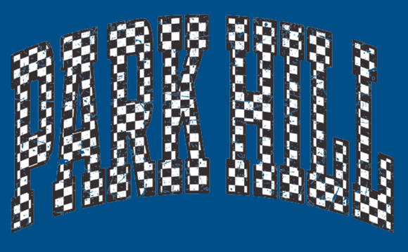 Park Hill checkered print