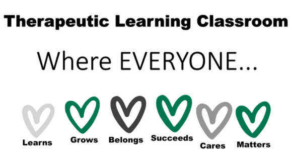 Therapeutic Learning Classroom