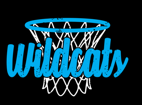 Wildcat Basketball distressed net