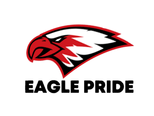 Eagle pride design on Bella and Canvas Longsleeve shirt (choose your color)