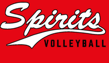 Spirit Volleyball option 1